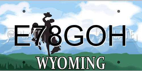 E78GOH Wyoming License Plate