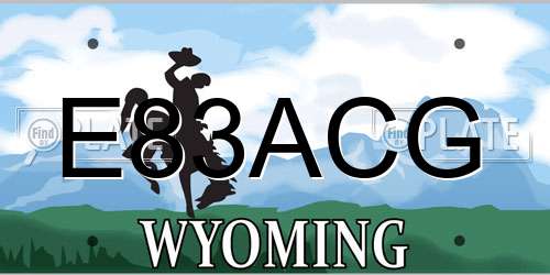 E83ACG Wyoming License Plate