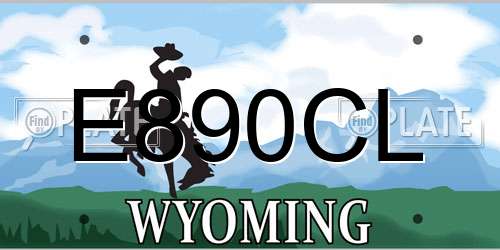 E890CL Wyoming License Plate