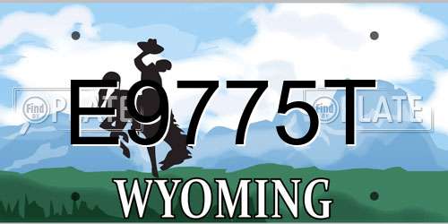 E9775T Wyoming License Plate