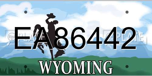 EA86442 Wyoming License Plate