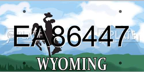 EA86447 Wyoming License Plate