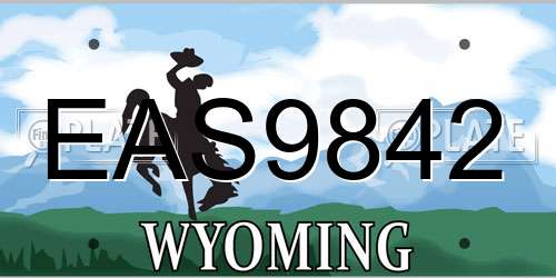 EAS9842 Wyoming License Plate