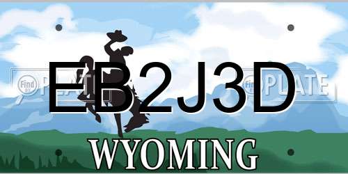 EB2J3D Wyoming License Plate
