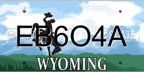 EB6O4A Wyoming License Plate