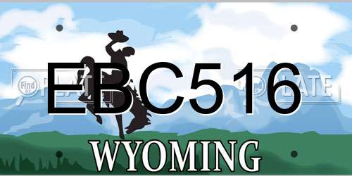 EBC516 Wyoming License Plate