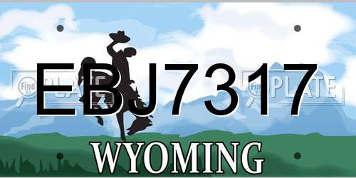 EBJ7317 Wyoming License Plate