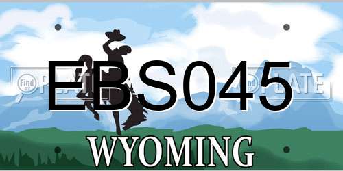 EBS045 Wyoming License Plate