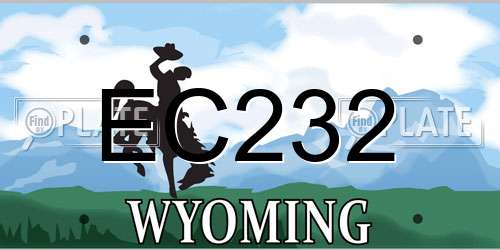 EC232 Wyoming License Plate
