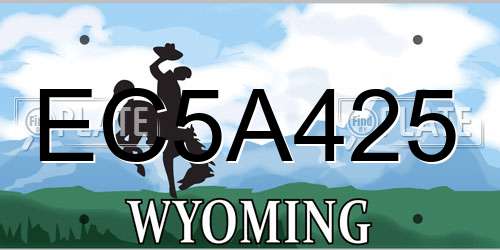 EC5A425 Wyoming License Plate