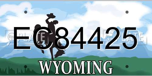 EC84425 Wyoming License Plate