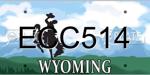 ECC514 Wyoming License Plate