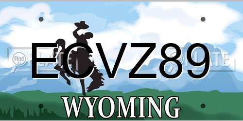 ECVZ89 Wyoming License Plate