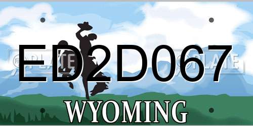 ED2D067 Wyoming License Plate