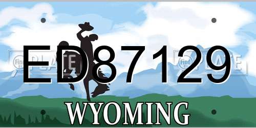 ED87129 Wyoming License Plate