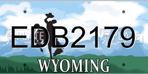 EDB2179 Wyoming License Plate