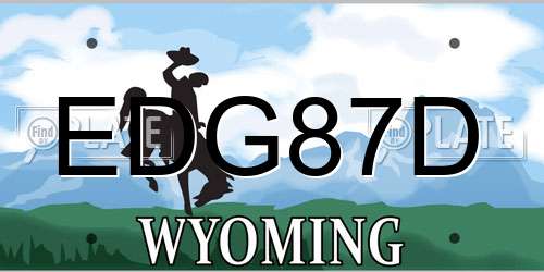 EDG87D Wyoming License Plate