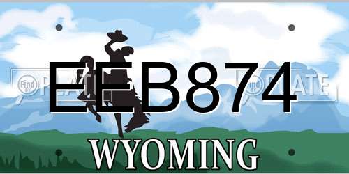 EEB874 Wyoming License Plate