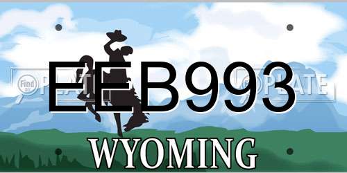 EEB993 Wyoming License Plate