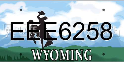 EEE6258 Wyoming License Plate