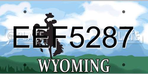EEF5287 Wyoming License Plate