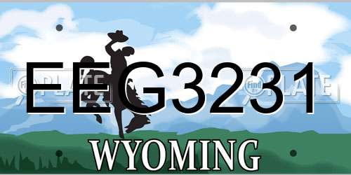 EEG3231 Wyoming License Plate