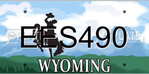 EES490 Wyoming License Plate