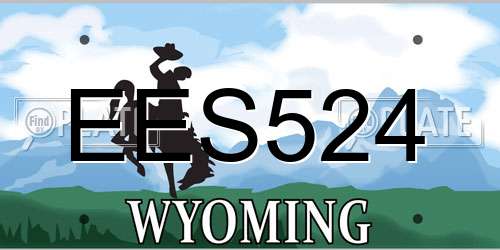EES524 Wyoming License Plate