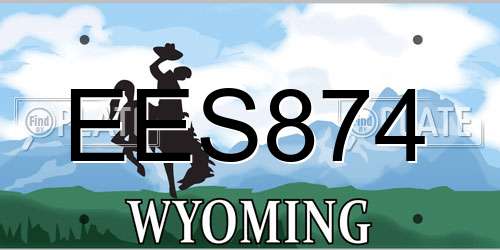 EES874 Wyoming License Plate