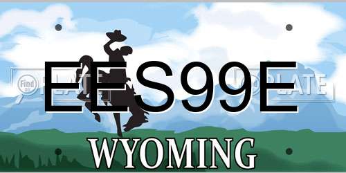 EES99E Wyoming License Plate