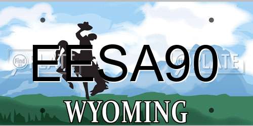 EESA90 Wyoming License Plate