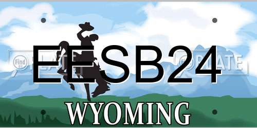 EESB24 Wyoming License Plate