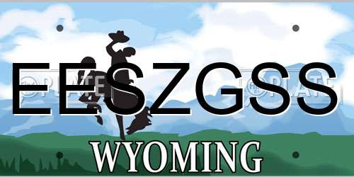 EESZGSS Wyoming License Plate