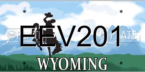 EEV201 Wyoming License Plate