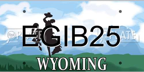 EGIB25 Wyoming License Plate