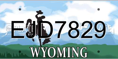 EJD7829 Wyoming License Plate