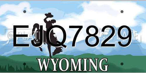 EJQ7829 Wyoming License Plate
