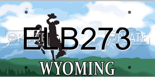 ELB273 Wyoming License Plate