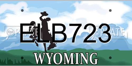 ELB723 Wyoming License Plate