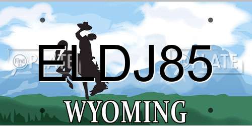 ELDJ85 Wyoming License Plate