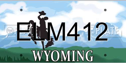 ELM412 Wyoming License Plate