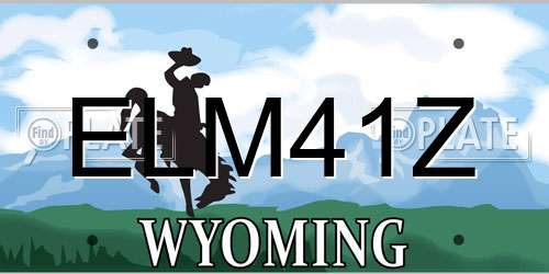 ELM41Z Wyoming License Plate