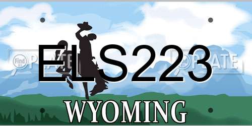 ELS223 Wyoming License Plate