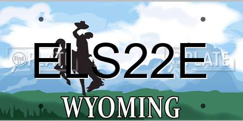 ELS22E Wyoming License Plate