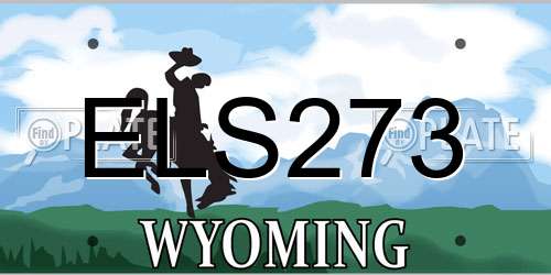 ELS273 Wyoming License Plate