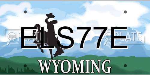 ELS77E Wyoming License Plate