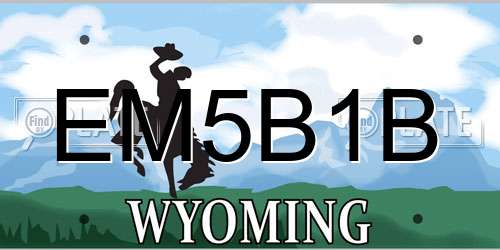 EM5B1B Wyoming License Plate