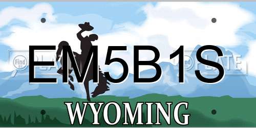 EM5B1S Wyoming License Plate