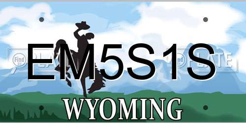 EM5S1S Wyoming License Plate
