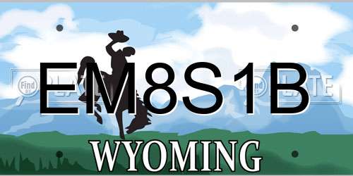 EM8S1B Wyoming License Plate